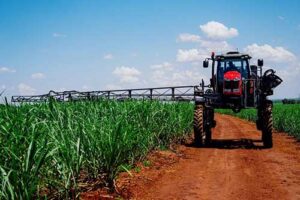 Soluções integradas para o setor canavieiro são destaques da Massey Ferguson na Agrishow 2025