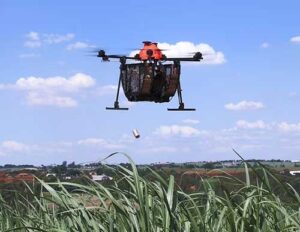 Natutec By Koppert será uma das atrações na Agrishow 2025