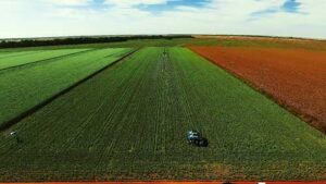 Primeiro episódio da websérie Rota Regenerativa resgata a história da agricultura brasileira