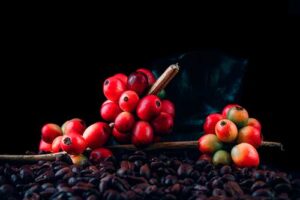 Tecnologia e tradição impulsionam o café brasileiro no cenário global