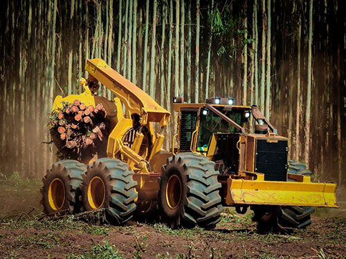 Tracbel mostra suas soluções Tigercat Tci, Volvo e Kalmar para florestas plantadas