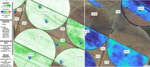 Plataforma que mapeia teor de clorofila para aplicação localizada e identificação de falhas de plantio e ataque de pragas é lançada na Agrishow
