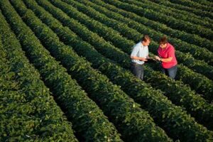 Cropwise Grower, iniciativa da Syngenta com tecnologia de IA Generativa, é vencedora do Prêmio internacional GenAI Zürich