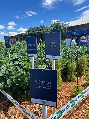 Tecnoshow COMIGO conecta produtores rurais às principais tendências do setor Tecnoshow COMIGO conecta produtores rurais às principais tendências do setor