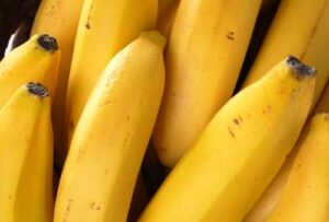 Tera Nutrição Vegetal apresenta benefícios dos fertilizantes orgânicos compostos na Feibanana