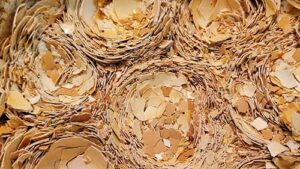 Uso de cascas de ovo em resíduo da mandioca pode ajudar na produção de insumos