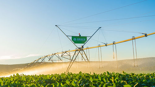 Bauer do Brasil lidera nova fase global da empresa austríaca