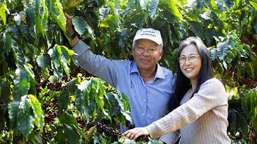  Pequenos produtores de café especial ganham espaço no mercado internacional