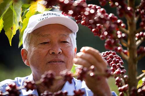  Pequenos produtores de café especial ganham espaço no mercado internacional