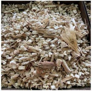 Cimento de palhada de milho