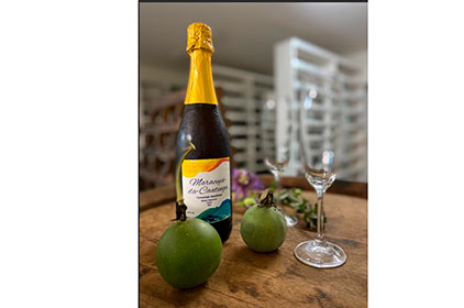 Maracujá-da-caatinga vira base para bebida gaseificada semelhante a vinho espumante