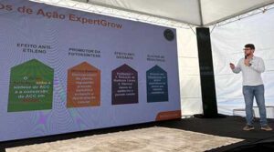 ADAMA leva conhecimento sobre ação e resultados de biossoluções em videiras no Vitis Aurora 2025