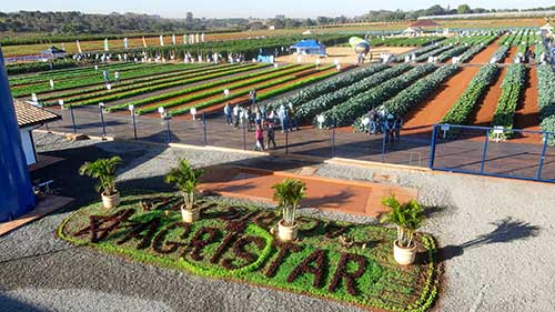 Comunicado à Imprensa Inovação e experiência a campo marcam a 19ª edição do Open Field Day