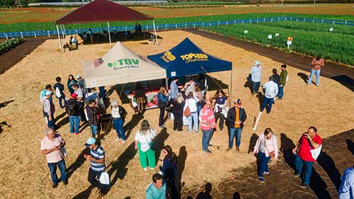 Comunicado à Imprensa Inovação e experiência a campo marcam a 19ª edição do Open Field Day