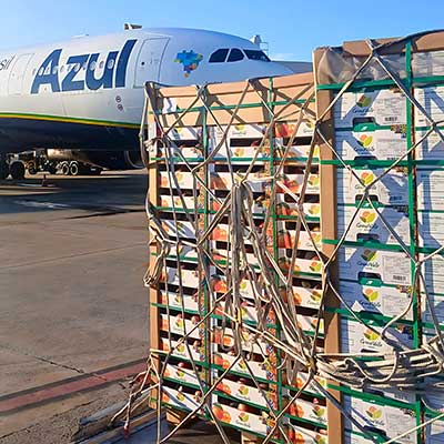 Operação da Azul Cargo, unidade de logística da Azul, apresenta aumento de 14% com destaque para mamão papaia e manga