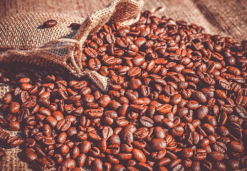 Rastreabilidade se torna ferramenta estratégica para produtos rurais replicarem boas práticas no agronegócio