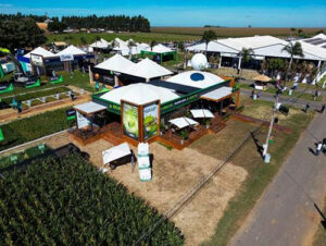 Boa Safra leva tecnologia e diversificação em sementes para a AgroBrasília 2025