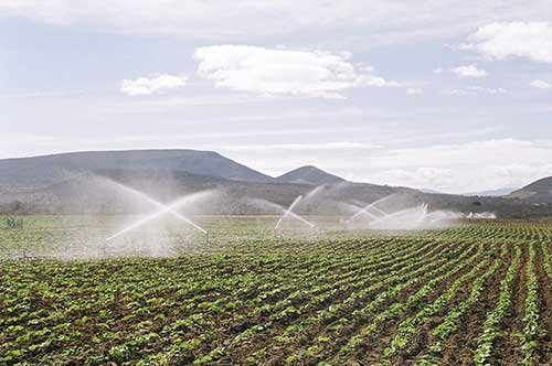 Projetos de irrigação no Oeste Baiano alcançam R$ 633 milhões em valor bruto de produção