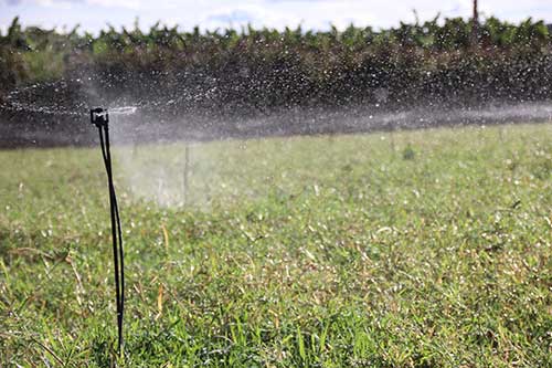 Projetos de irrigação no Oeste Baiano alcançam R$ 633 milhões em valor bruto de produção