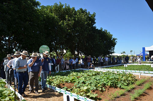 Diplomatas conhecem tecnologias da Embrapa no Dia Internacional da AgroBrasília 2025