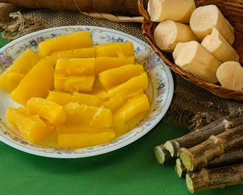 Mandioca no Cerrado: inovação que alimenta e gera renda