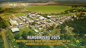 Agrobalsas 2025: Composição química, qualidade e biotecnologia da soja são temas de painel