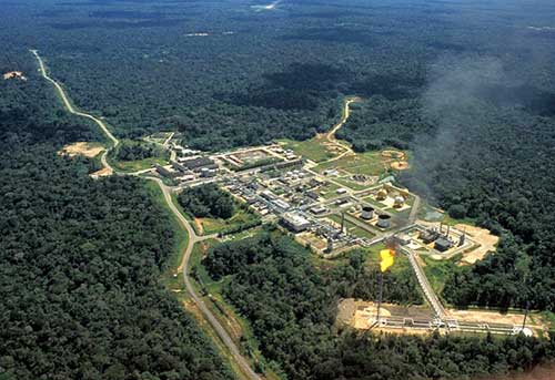Com apoio da Eneva, Projeto Agroflorestal entrega primeira colheita de café robusta em Silves (AM)