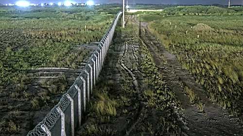 Ferroport melhora videomonitoramento e apoia conservação da vida selvagem com tecnologia sustentável