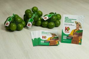 Produção de limão tahiti conquista certificação de agricultura sustentável