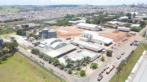 Grupo Grão de Ouro consolida liderança no agronegócio com expansão de filiais da New Holland no nordeste
