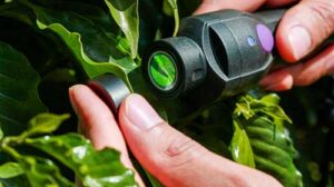 ICL lança NutroScan: tecnologia de ponta para diagnóstico nutricional instantâneo de plantas