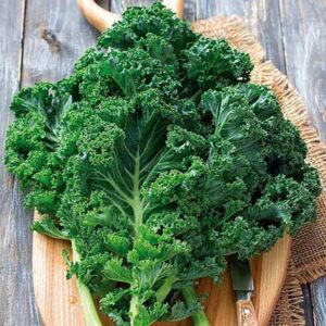 Conheça os principais tipos de couve e saiba como cultivar