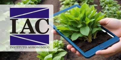 Hortitec 2025: IAC expõe recentes tecnologias nas áreas de horticultura e sanidade