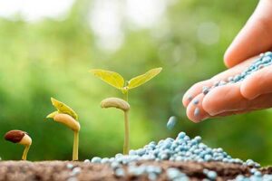 Hortitec 2025: IAC expõe recentes tecnologias nas áreas de horticultura e sanidade