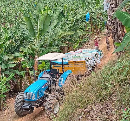 Produtores de banana do Vale do Ribeira poderão ver de perto as novas tecnologias para a cultura