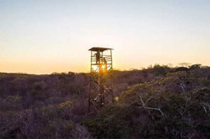 M. Dias Branco avança em iniciativa voltada para preservação e proteção da Caatinga