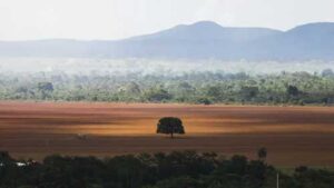 Projeto visa geração de créditos de carbono a partir de práticas agrícolas sustentáveis no Matopiba, com potencial para transformar o agronegócio brasileiro