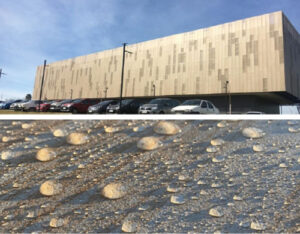 Conheça a empresa brasileira que está mudando setores com partículas invisíveis