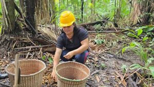 Parceria entre Natura, WEG e ATAIC inaugura agroindústria movida à energia solar na Amazônia