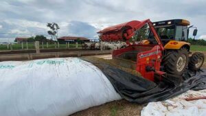 Novo silo-bolsa para silagem chega ao mercado para atender pequenas e médias propriedades