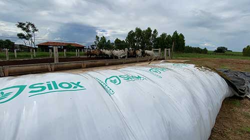 Novo silo-bolsa para silagem chega ao mercado para atender pequenas e médias propriedades