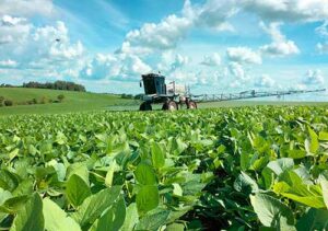 Agricultura piauiense pode ter salto de eficiência com adjuvantes de alta tecnologia