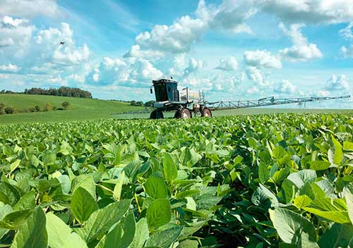 Agricultura piauiense pode ter salto de eficiência com adjuvantes de alta tecnologia