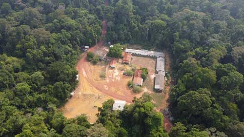 Monitoramento florestal: especialistas destacam avanços e desafios no segundo encontro da Jornada de Conhecimento com MPF 