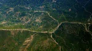 Monitoramento florestal: especialistas destacam avanços e desafios no segundo encontro da Jornada de Conhecimento com MPF 