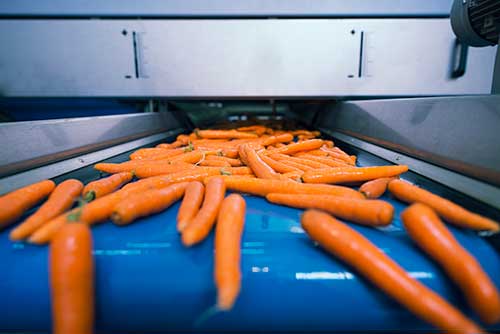 Visão computacional reduz desperdício ao detectar defeitos em frutas e legumes com mais de 95% de precisão