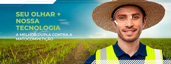 IA auxilia na identificação de mamona, corda-de-viola e mucuna-preta no cultivo de cana-de-açúcar