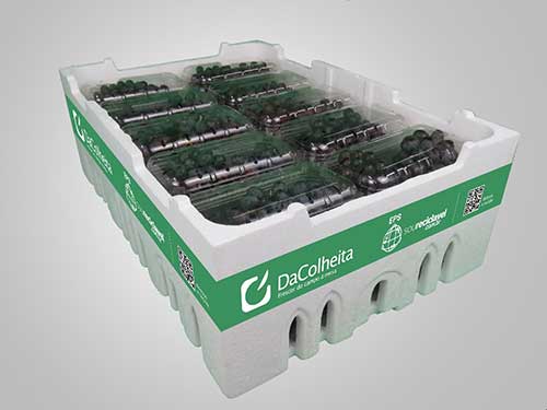 Termotécnica apresenta soluções de embalagens para o mercado FLV no 3º Encontro Nacional Ibrahort