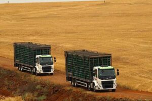 Com mais máquinas amarelas no Agro, Tracbel leva também seus caminhões para a Agrobalsas