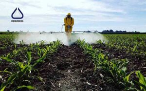 Usiquímica estreia na Feibanana com soluções de adjuvantes, lubrificação e redução de emissões no campo